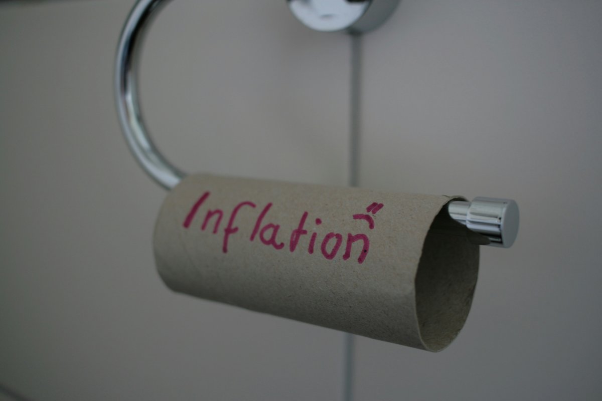Portfolio Resilience: Growth and Income Strategies for Inflation