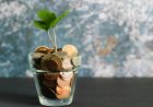 The FIRE Movement: How to Retire Early with Low‑Risk Investments