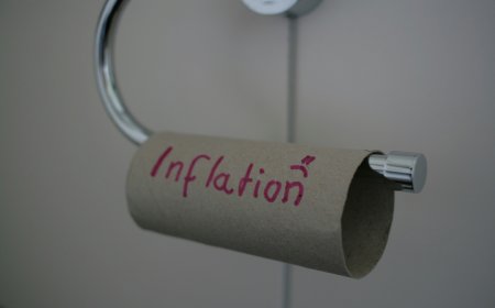 Portfolio Resilience: Growth and Income Strategies for Inflation