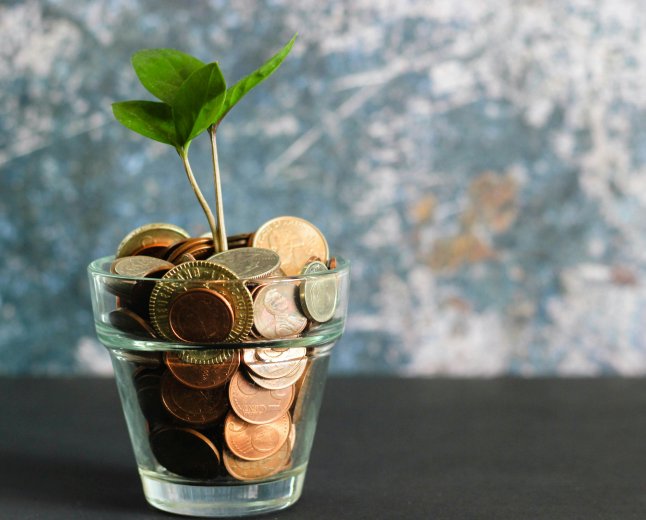 The FIRE Movement: How to Retire Early with Low‑Risk Investments