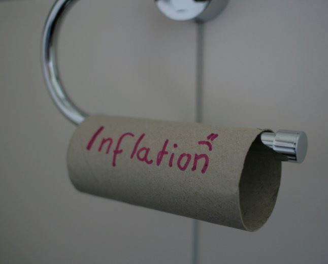 Portfolio Resilience: Growth and Income Strategies for Inflation